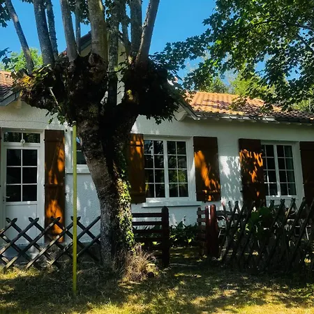 Maison Holiday home *